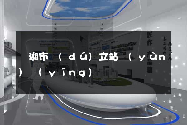 蕪湖市獨(dú)立站運(yùn)營(yíng)