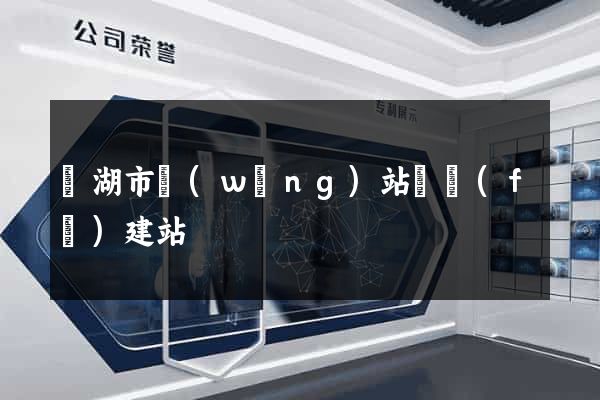 蕪湖市網(wǎng)站開發(fā)建站