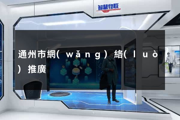 通州市網(wǎng)絡(luò)推廣