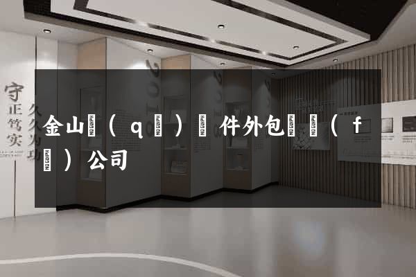 金山區(qū)軟件外包開發(fā)公司