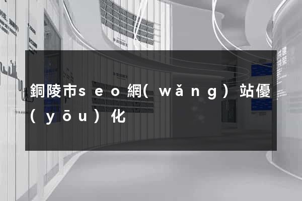 銅陵市seo網(wǎng)站優(yōu)化