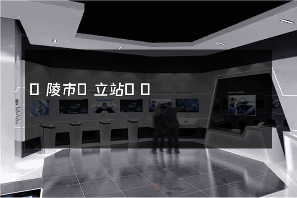 銅陵市獨立站運營