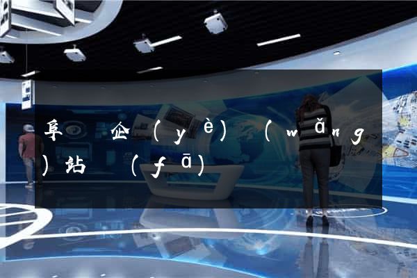 阜寧縣企業(yè)網(wǎng)站開發(fā)