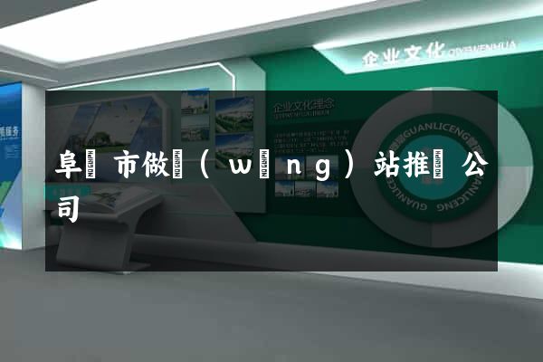 阜陽市做網(wǎng)站推廣公司