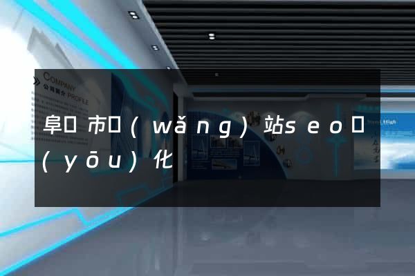 阜陽市網(wǎng)站seo優(yōu)化