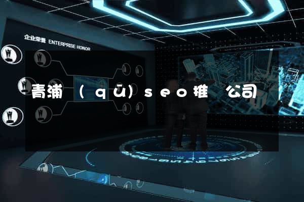 青浦區(qū)seo推廣公司