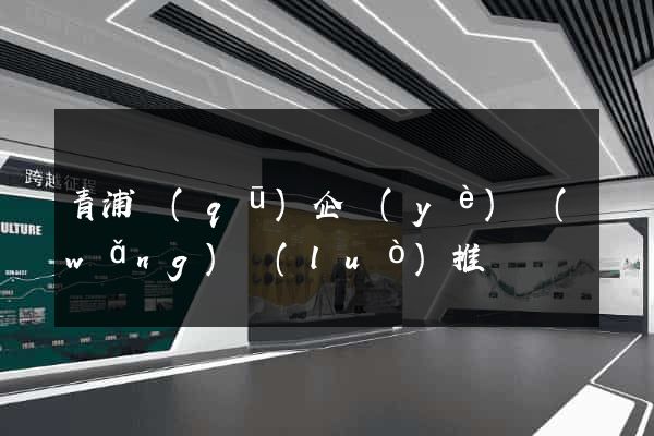 青浦區(qū)企業(yè)網(wǎng)絡(luò)推廣