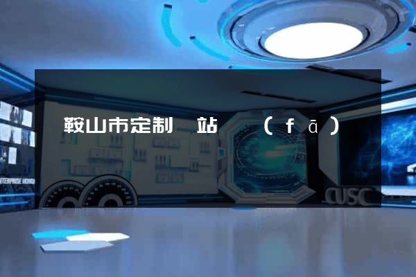 馬鞍山市定制網站開發(fā)