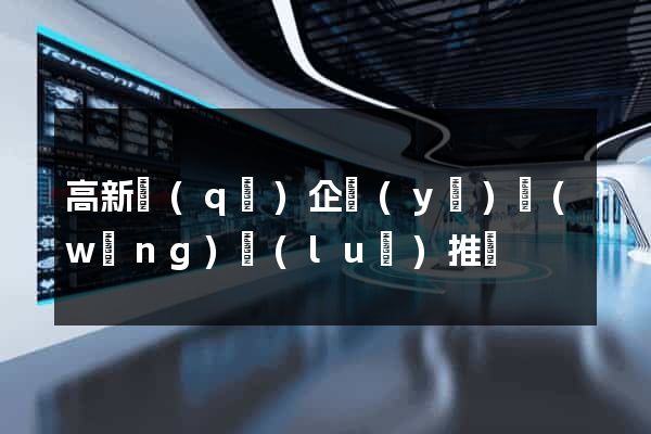 高新區(qū)企業(yè)網(wǎng)絡(luò)推廣